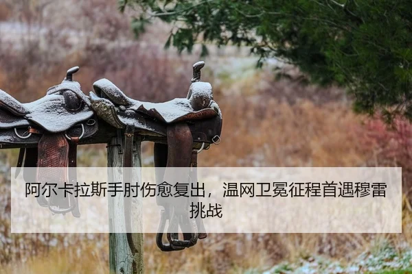阿尔卡拉斯手肘伤愈复出，温网卫冕征程首遇穆雷挑战